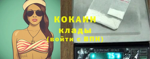 гидра Нея
