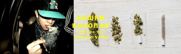 гидра Нея