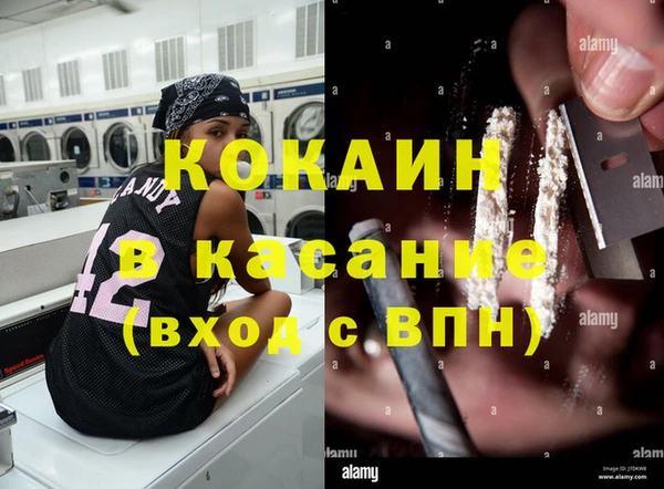 гидра Нея