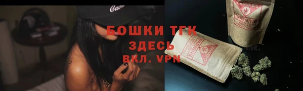 гидра Нея