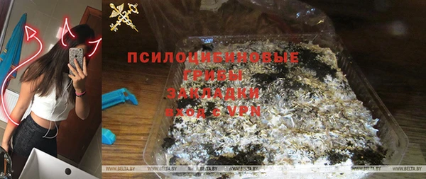 гидра Нея